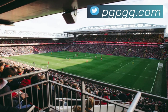 App Interface Preview